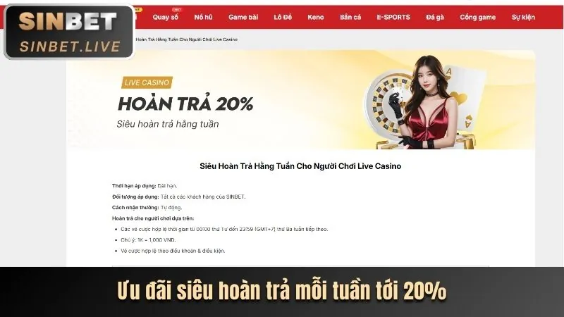 Chương trình VIP và khách hàng thân thiết